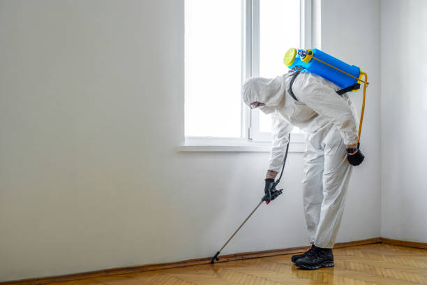 Best Termite Control Services  in Omro, WI
