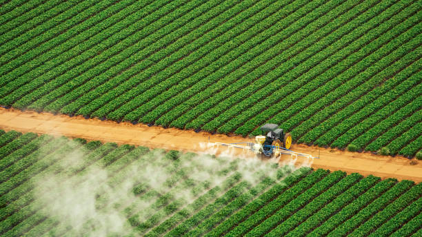 Insect Control in Omro, WI