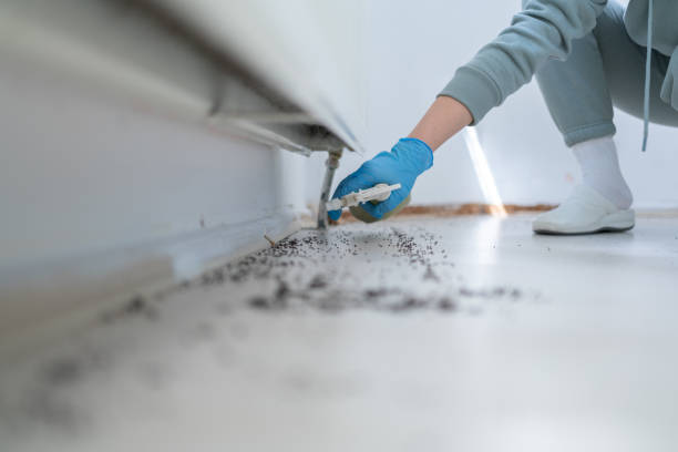 Trusted Omro, WI Pest Control Experts